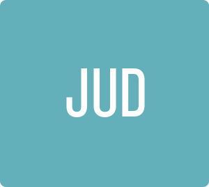 judgment_assess