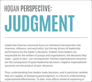 hogan-perspective-judgment