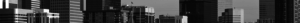 den_l1__1_