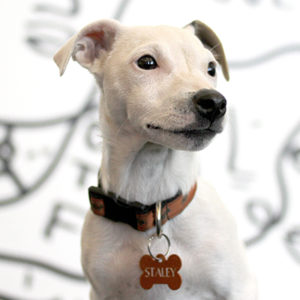 staley