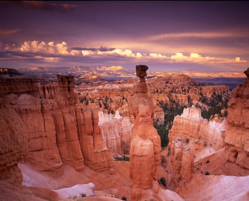 A dusk or dawn photograph of Bryce Canyon National Park shows a purple- and peach-toned cloud-filled sky above the depths of the canyons, the heights of the legendary hoodoos, and the wilderness in between. The history of habitation in the area depicted offers some important lessons regarding the survival of the human species. While opposable thumbs enabled many human advancements, the history of effective teamwork in the canyons suggests that the ability to build a successful team might actually be what sets us apart.