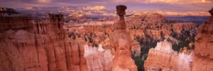 A dusk or dawn photograph of Bryce Canyon National Park shows a purple- and peach-toned cloud-filled sky above the depths of the canyons, the heights of the legendary hoodoos, and the wilderness in between. The history of habitation in the area depicted offers some important lessons regarding the survival of the human species. While opposable thumbs enabled many human advancements, the history of effective teamwork in the canyons suggests that the ability to build a successful team might actually be what sets us apart.