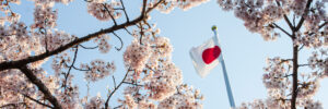A flagpole flying the Japanese flag, which is all white with a red circle in the center, is shown against a blue sky. In the foreground, cherry blossoms surround the frame. The photo accompanies a blog post about leadership emergence in Japan, based on the personality data of a sample of more than 3,000 Japanese leaders.