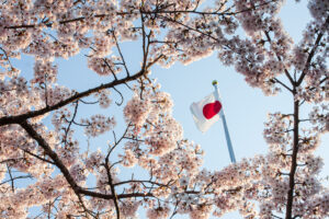 A flagpole flying the Japanese flag, which is all white with a red circle in the center, is shown against a blue sky. In the foreground, cherry blossoms surround the frame. The photo accompanies a blog post about leadership emergence in Japan, based on the personality data of a sample of more than 3,000 Japanese leaders.