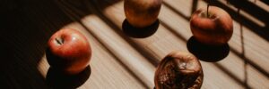 pexels-nicetomizzu-6934550