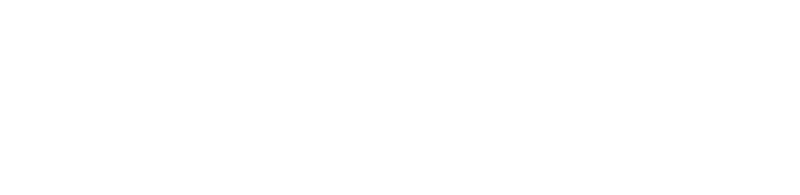 PayPal White