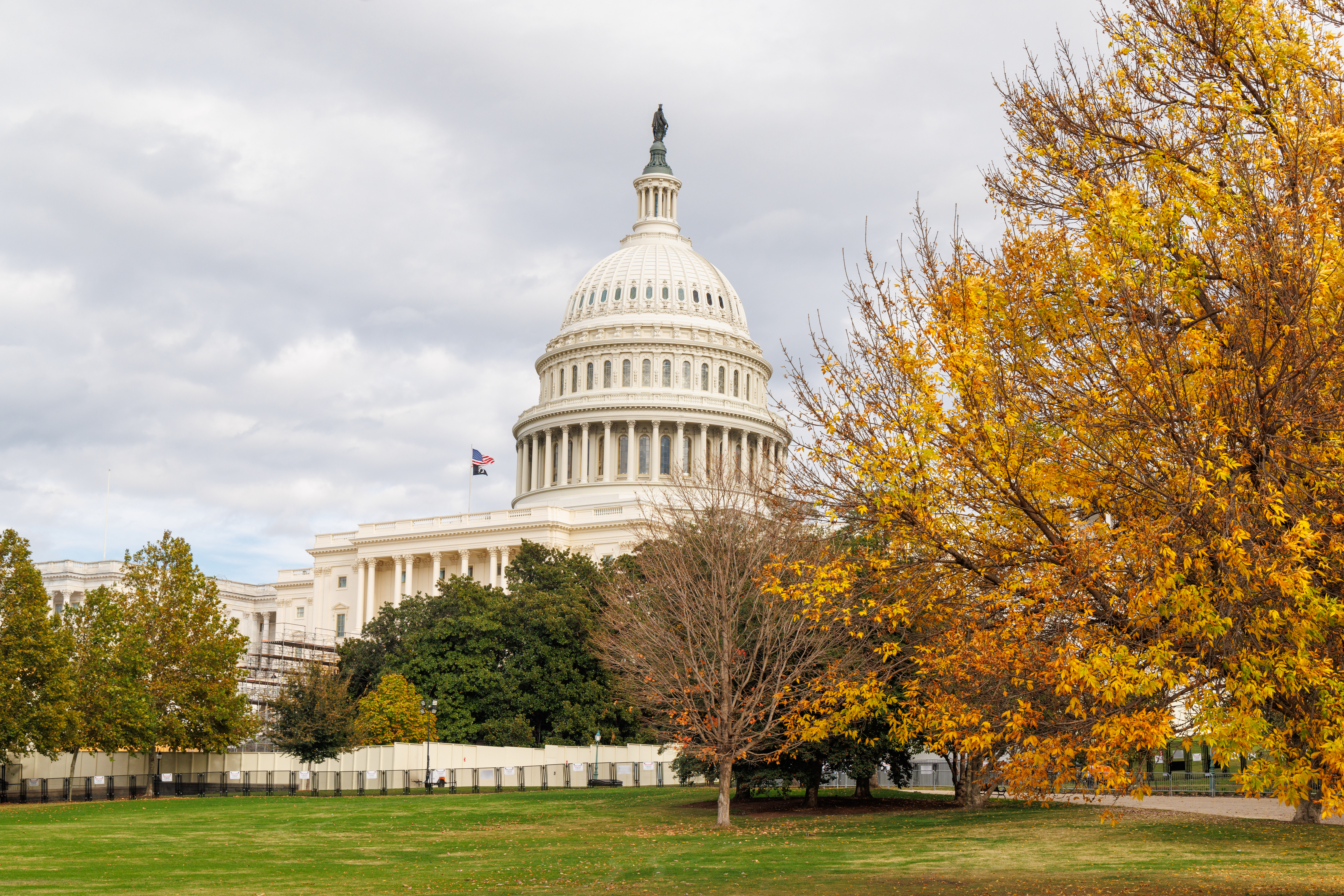The iconic white dome of the US Capitol in Washington, DC, is shown surrounded by vibrant gold and orange autumn foliage. The image accompanies an article about personality trends of US executives.