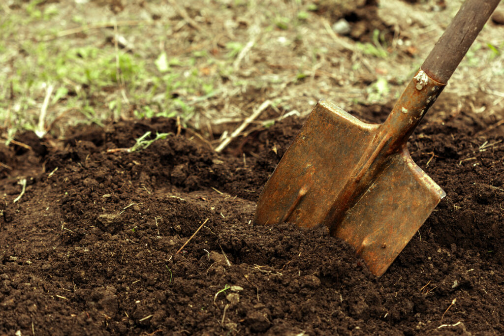A rusty shovel blade has been pushed into dark, freshly turned soil, with dry grass and a few green sprouts behind it. The image accompanies an article about zombie leadership.