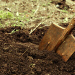 A rusty shovel blade has been pushed into dark, freshly turned soil, with dry grass and a few green sprouts behind it. The image accompanies an article about zombie leadership.