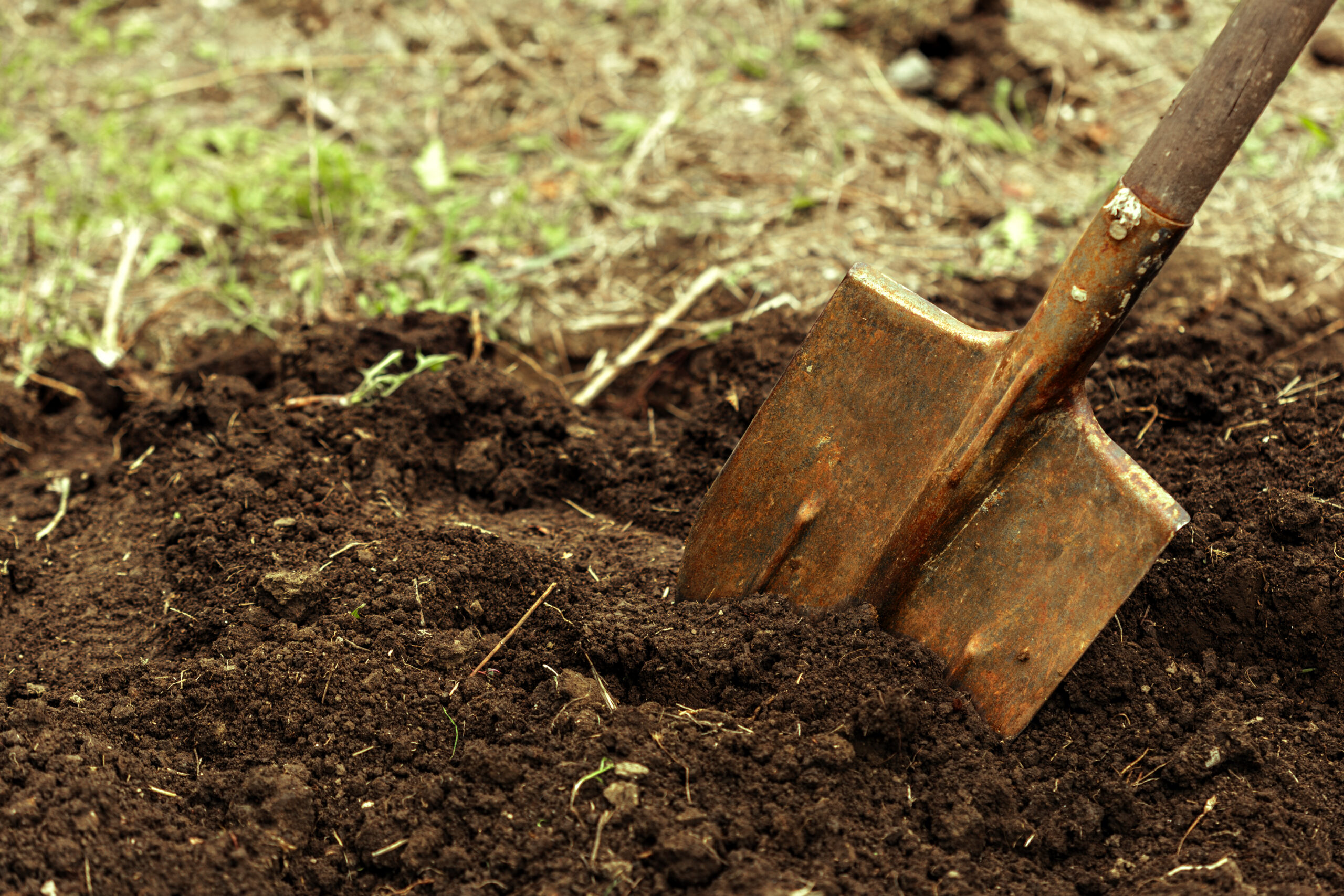 Is Zombie Leadership Running Your Org?
